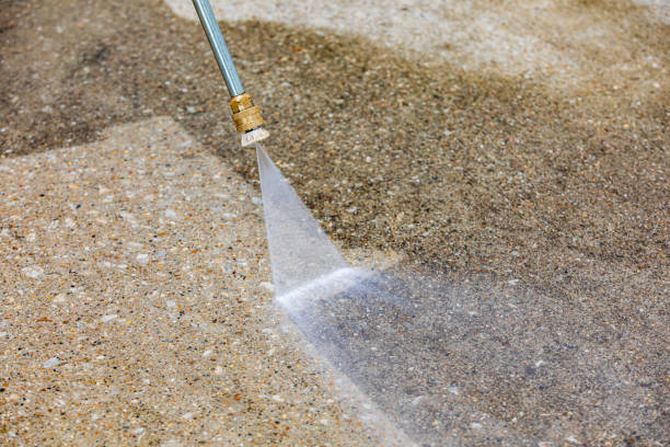 Best Dumpster Area Cleaning  in Hamilton College, NY